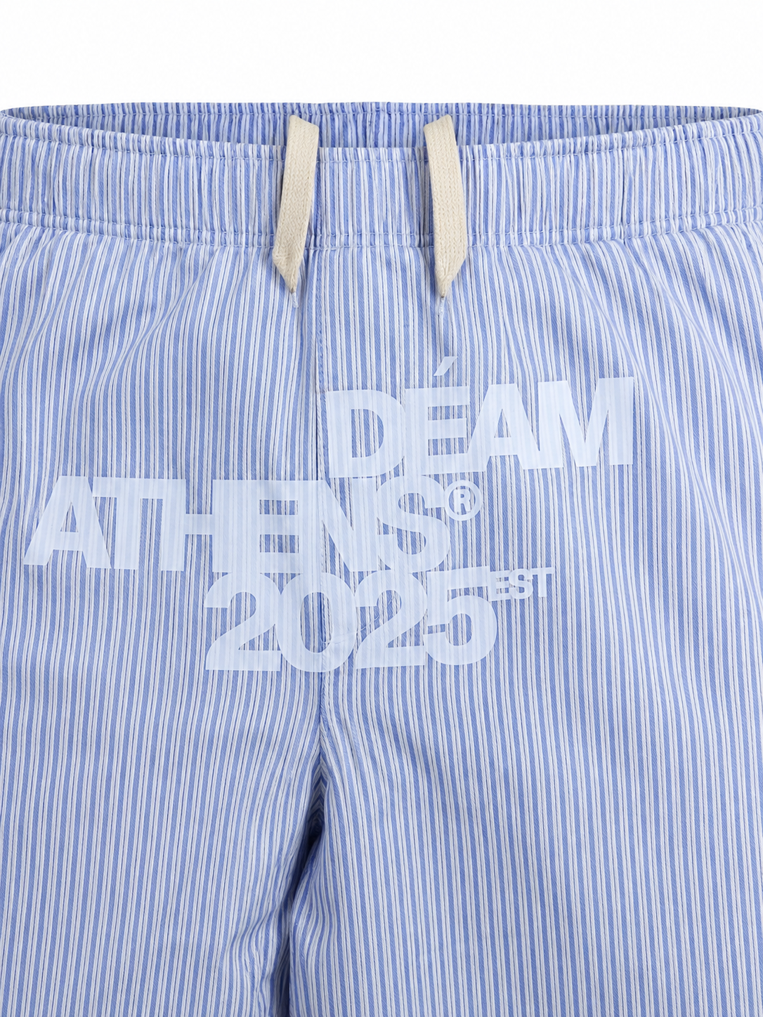 DEAM BLUE PINSTRIPE BAGGY PANTS WITH LOGO PRINT